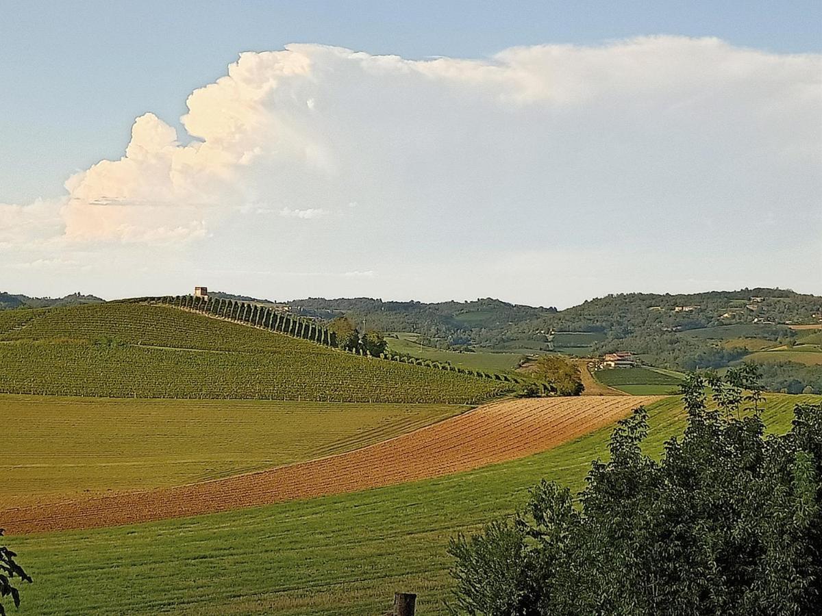 La Libellula - Appartamento/Casa In Monferrato Unesco Casorzo Exterior foto